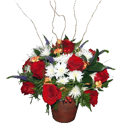 onlymgflowers's profile picture. Support Ukraine 🇺🇦