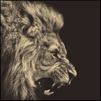 نياك سكس فون عنيف (@fa7aa_l) 's Twitter Profile Photo نياك سكس فون عنيف (@fa7aa_l) 's Twitter Profile Photo