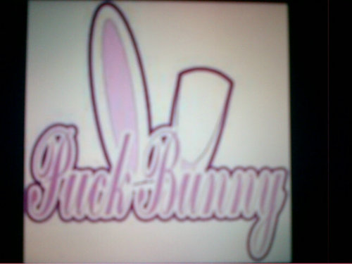 HockeyPlayersAllTheWay ; PuckBunny ; PuckSluttt