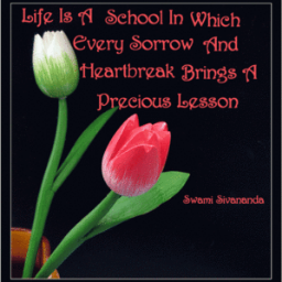 nimrakhalid29's profile picture. loving,caring,decent and friendly..