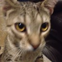 Michele Hansen - @TexasHansen - Twitter