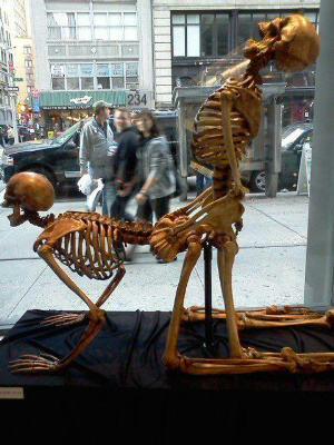 AshPanya's profile picture. 