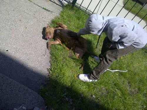 - im currently Married to @_Hudson88 , #TeamDaddy #TeamFamily #TeamJoselyn (Daughter) Follow Us & GTFO .!