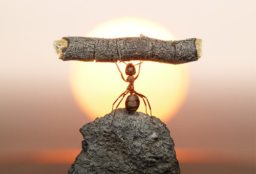 lifesWHAT's profile picture. All life is an experiment.  The more experiments you make the better - Ralph Waldo Emerson