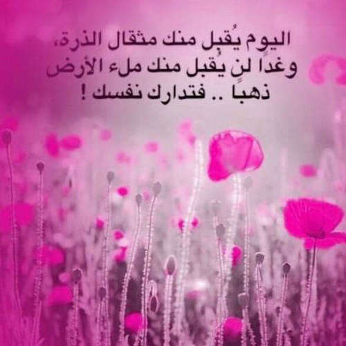 XHotmajl's profile picture. 