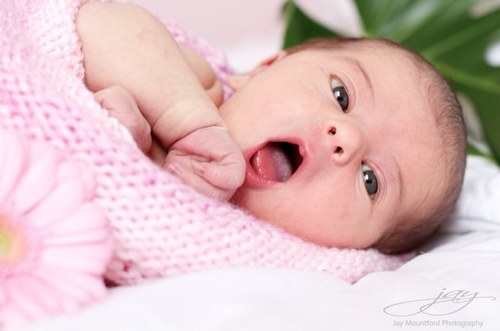 BabyGTommoCW's profile picture. Addelynn Rose Lovato Tomlinson. @BabyBTommoCW's twin sister. @DemiLovatoCW & @LouTomlinson_CW's little princess. #RP