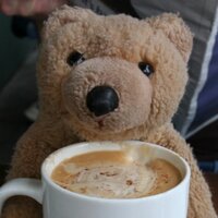 Biff da Bear (@biff_da_bear) 's Twitter Profile