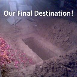 NAUSHADNF's profile picture. 