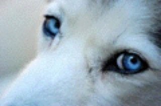 mikeboogh's profile picture. 