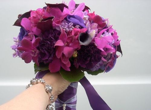 a1delhiflower's profile picture. Send Flowers to Delhi using online flower delivery in Delhi from Delhi florists shops in Delhi with best quality-Registered flower shop in Delhi.