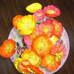 pincoo3739koita's profile picture. ドラマ好き！！旅行も楽しい～！！ってな感じ（＾ｕ＾）