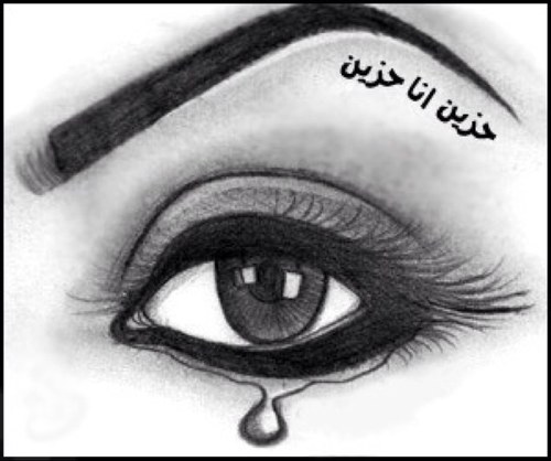 كنْ كالنخيلِ عنْ الاحقادِ مرتفعاً يُرمى بطوبِ فَيُلقي بأطيبِ الثمرِ