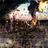 jithendra0007's profile image