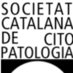 Citopat.CAT (@citopatolcat) Twitter profile photo Citopat.CAT (@citopatolcat) Twitter profile photo