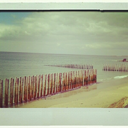 constantinpauli's profile picture. 