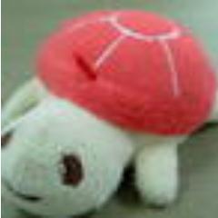 えっちゃんさんのプロフィール画像