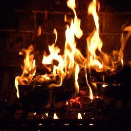 586buckeye's profile picture. 