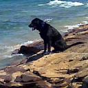 Wanda Palmer - @sallypony77 - Twitter