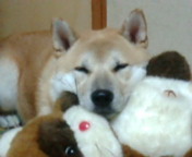 DAI0920GORO's profile picture. 