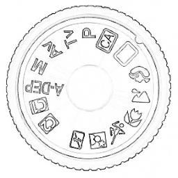 CameraBasics's profile picture. Helping you understand your camera.             1:1 tuition at an affordable price