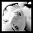 gysufaro's profile image