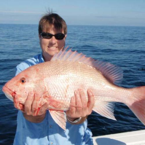 Fisherman, Scuba diver, Spearfisherman, and Bucs fan