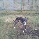 Thomas Radke - @thomasr1972 - Twitter