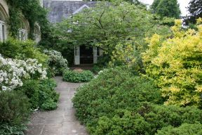 Official Twitter of the Coach House Garden, its specialist plant sales, private lectures and garden tours. Follow for green-fingered tips and news.