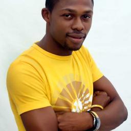 Salesman, Investment & Community Banker, Traffic Ambassador, Marine, Sea foods Merchant, Afresh Soap Distributor.