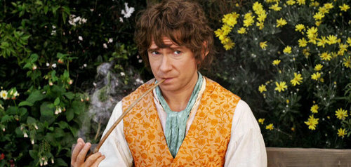 Frodo Baggins Uncle, I love going on adventures and I'm helping Thorin Oakenshield take back Erebor.