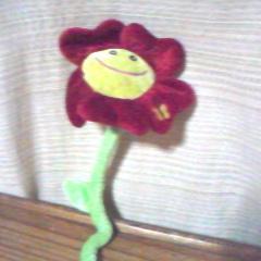 Juli de Bs As.! Fanatica de @FlorPPYF2011 ♥ @FlorcisPPYF2012 ♥