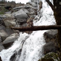 DavigarciaDavid's profile picture. 