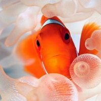 wwt9092 (@wwt9092) 's Twitter Profile