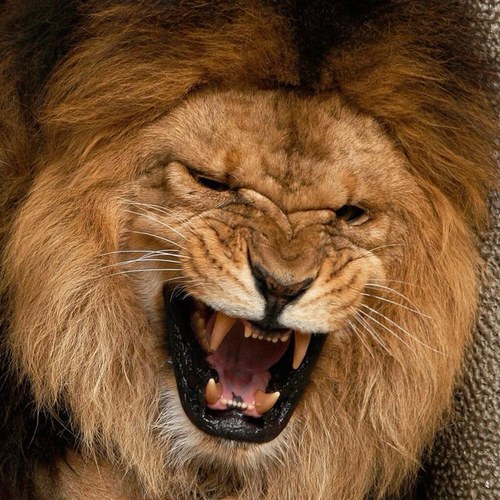 aruffride's profile picture. Unless we change direction, we are likely to wind up where we are headed.