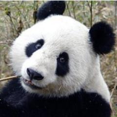 jdpr67's profile picture. La vita é bella...