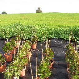Government Organization, Responsible for most of the agricultural research conducted in Israel.