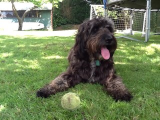 JohnLangdown's profile picture. A father to two active young boys, All great fun. will be a surfer in the next life and trying to get some practice in this time around! living in Southampton