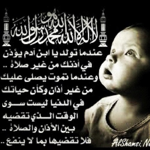 مرحبا بالجميع . Q8 شعاري اموت وتحيا الجهراء . محب للشعر والمحاورة وشاعر احيان . طالب  هندسة في سدني .