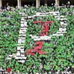 Palmeiras o nosso sentimento...nunca irá se acabar...te juro em todos os momentos...sempre eu vou te acompanhar .!  #AmorSemDivisão