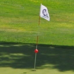 lorenzodalcanto's profile picture. Biologo nutrizionista con la passione del teatro, del golf e del calcio!!