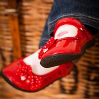 Julia Lawrence (@julialawrence77) 's Twitter Profile