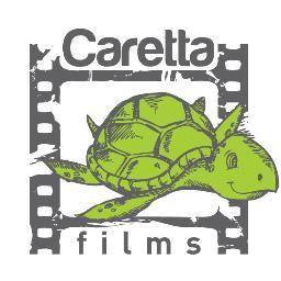 Film Producer/Troubleshooter