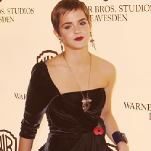 The Perks of Being Emma Watson.