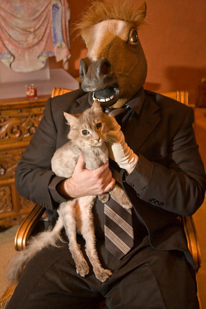 RotoSurjand's profile picture. 