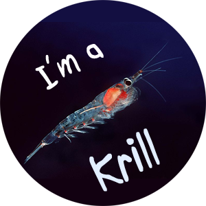 Hi there, my name is Krill and if I didn't exist most of the life forms in the Antarctic would disappear.

I'm a Krill and this is my Twitter Page