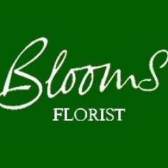 blooms_of_chi's profile picture. Blooms of Chichester have provided beautiful flowers for all occasions for over 20 years. Contact 01243 788484 / 07775 874215 / blooms@btconnect.com