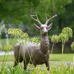 Deerwood was established in 1960 and is the oldest gated community and Country Club in Jacksonville, Florida. Check out our website to learn more!