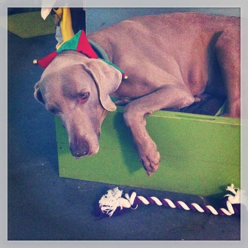 110ohyou's profile picture. 