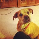 Denise Armbruster - @mrsyid - Twitter