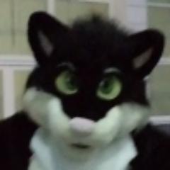 I love dolphins and furry. My call sign UB0ACI.